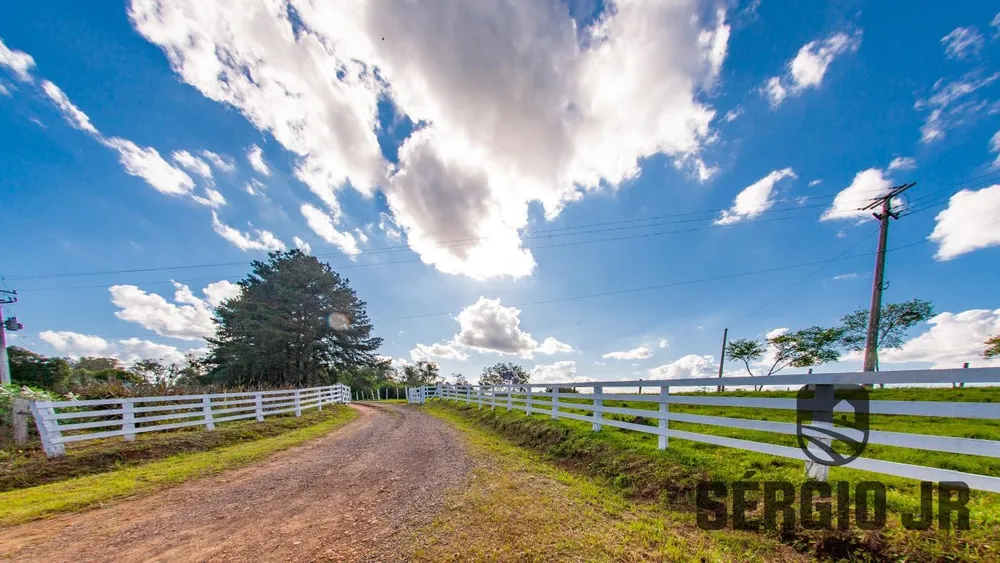 Fazenda, 94 hectares - Foto 11