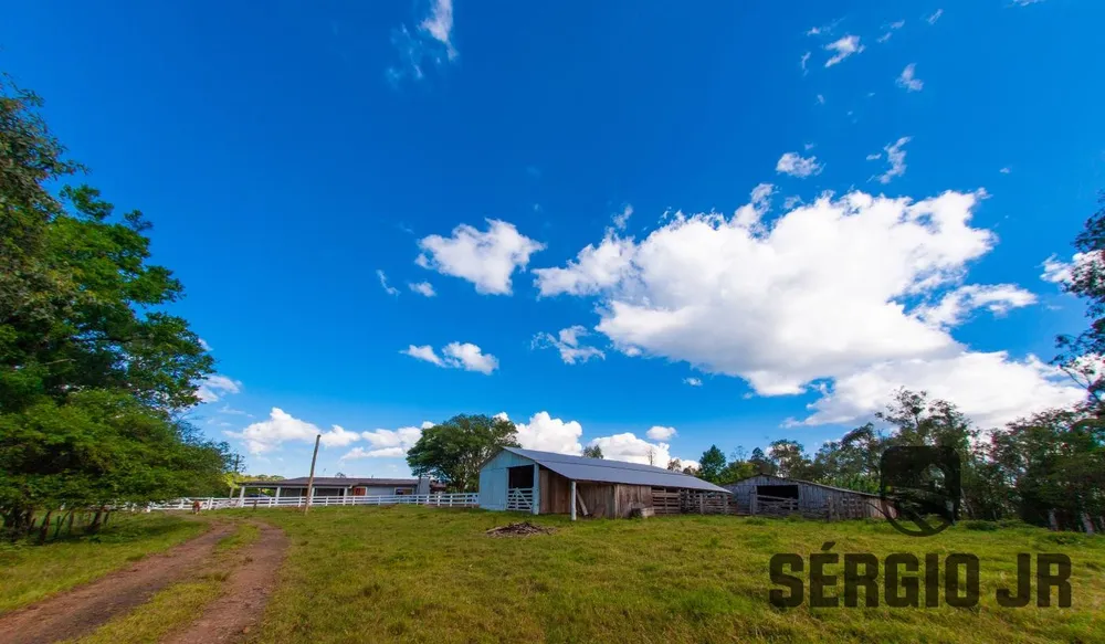 Fazenda, 94 hectares - Foto 8