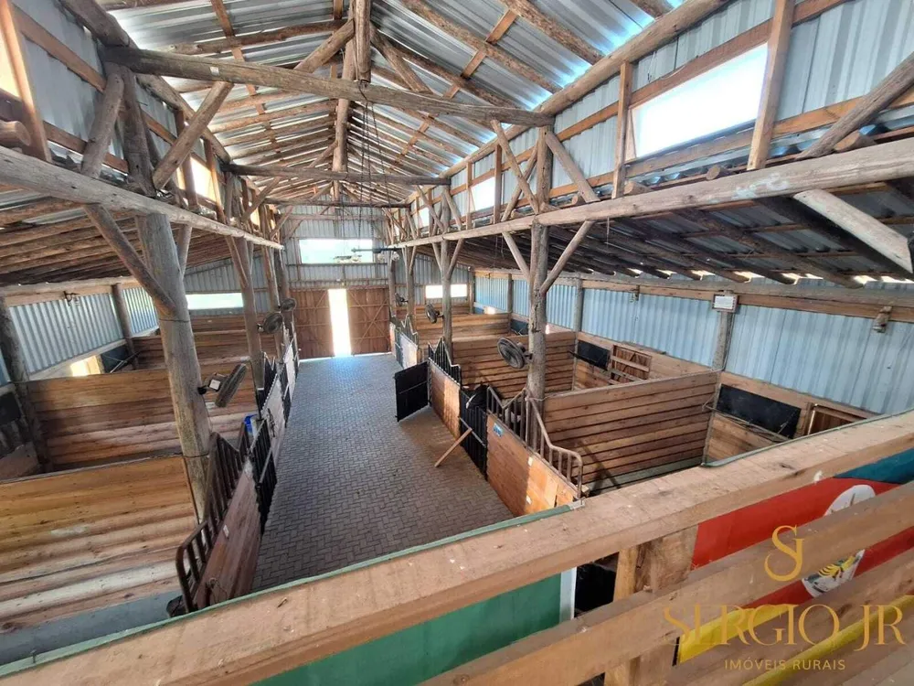 Sítio, 5 quartos, 11 hectares - Foto 13