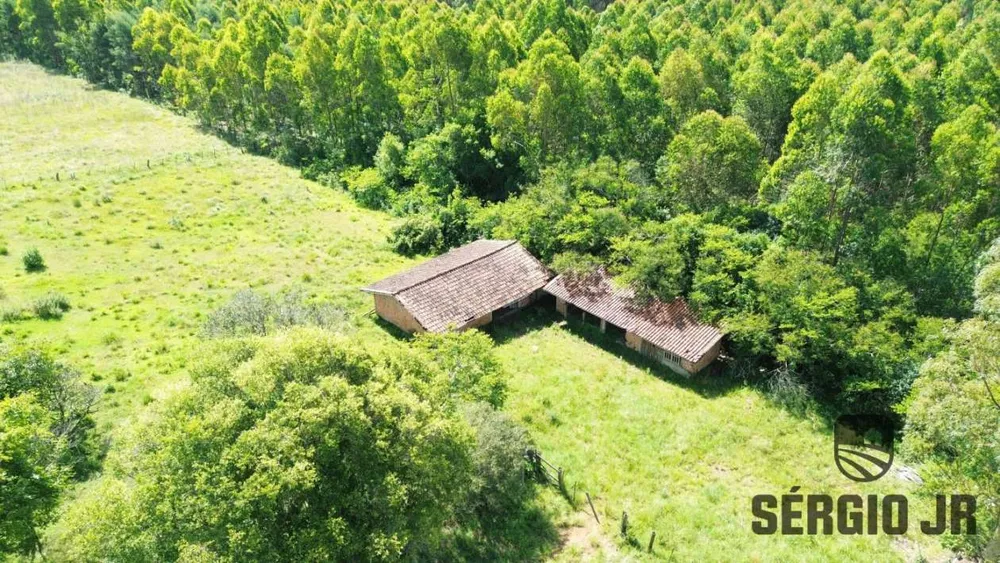 Fazenda, 26 hectares - Foto 6