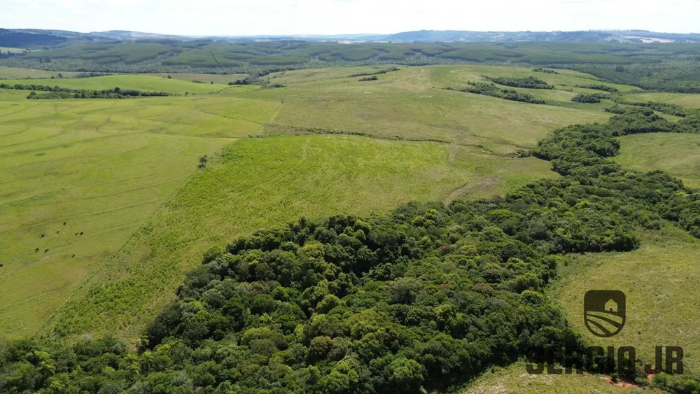 Fazenda, 26 hectares - Foto 4