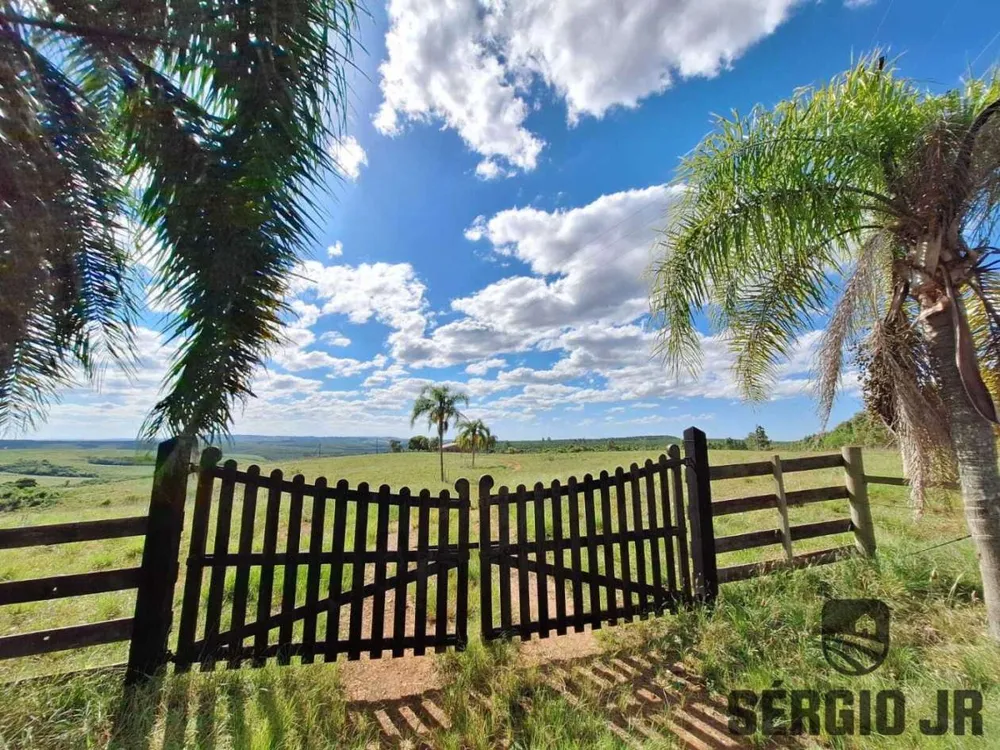 Fazenda, 26 hectares - Foto 15