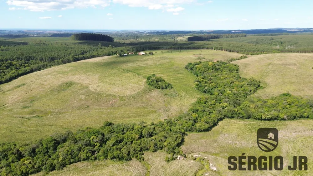 Fazenda, 26 hectares - Foto 13