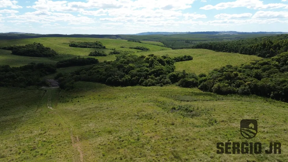 Fazenda, 26 hectares - Foto 8