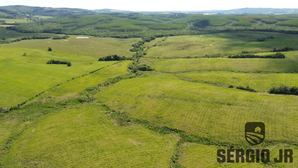 Fazenda, 26 hectares - Foto 12