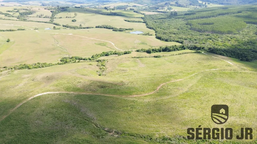 Fazenda, 26 hectares - Foto 10