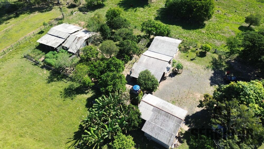 Sítio, 4 quartos, 2 hectares - Foto 5