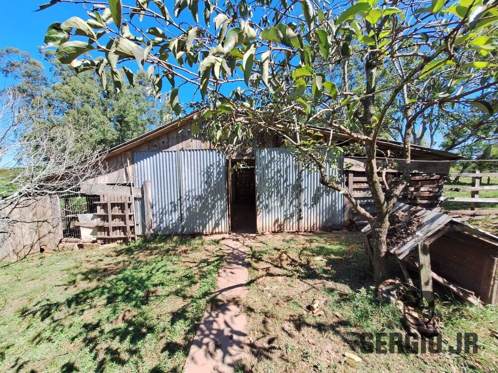 Sítio, 4 quartos, 2 hectares - Foto 14