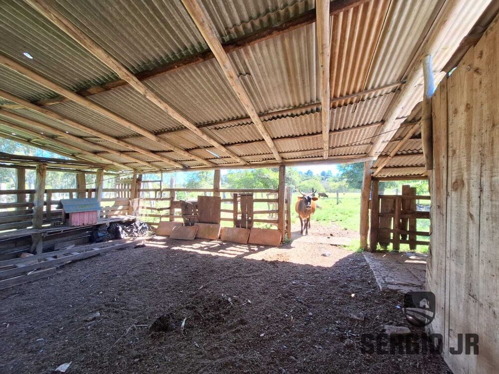 Sítio, 4 quartos, 2 hectares - Foto 15