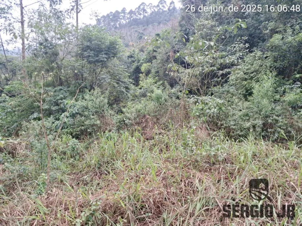 Loteamento e Condomínio, 21 hectares - Foto 2