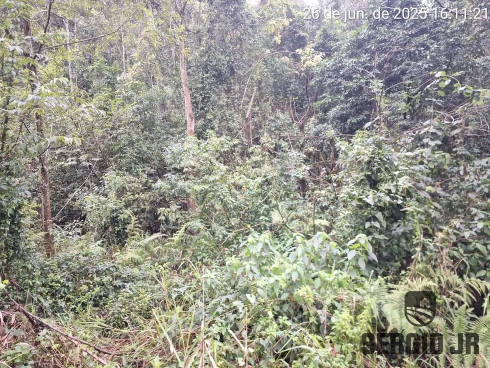Loteamento e Condomínio, 21 hectares - Foto 6