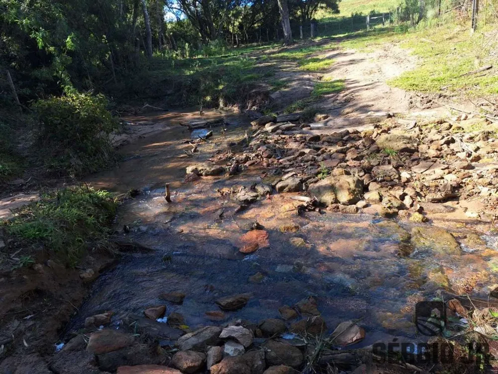 Fazenda, 63 hectares - Foto 4