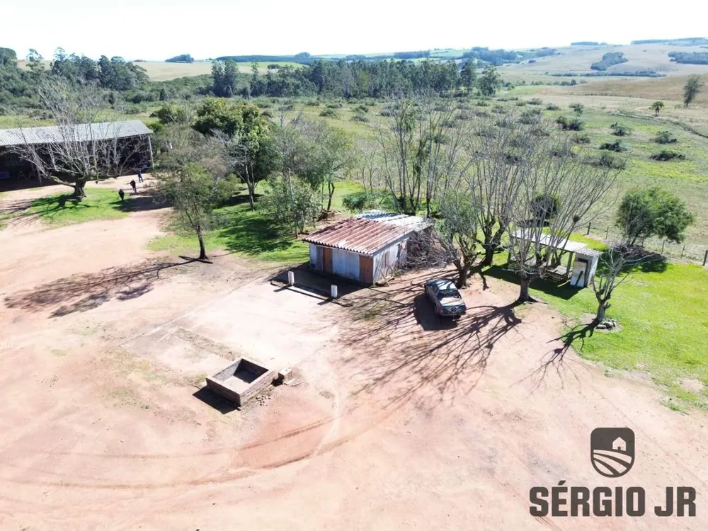 Fazenda, 63 hectares - Foto 9