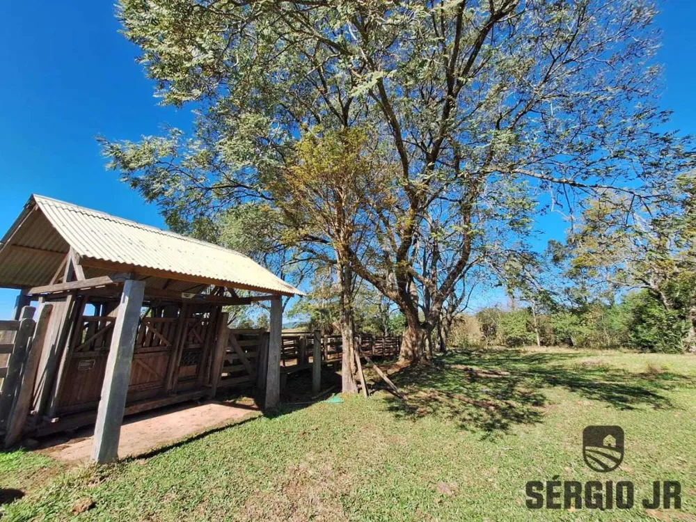 Fazenda, 63 hectares - Foto 7