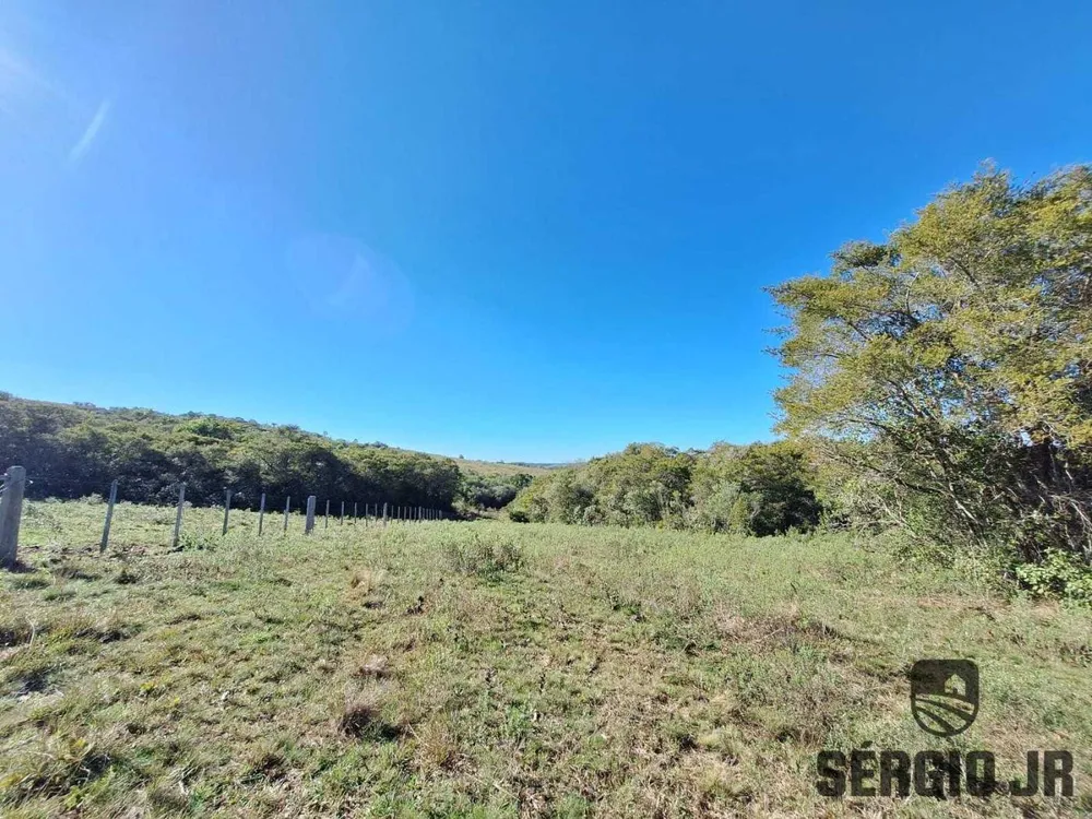 Fazenda, 63 hectares - Foto 8