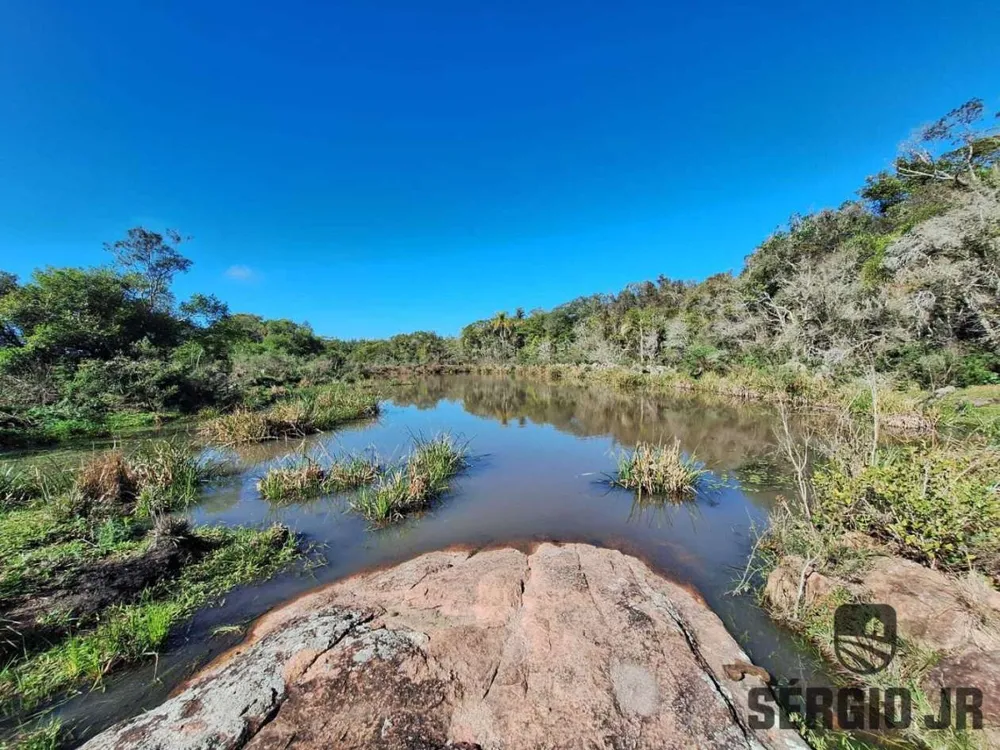 Fazenda, 63 hectares - Foto 10