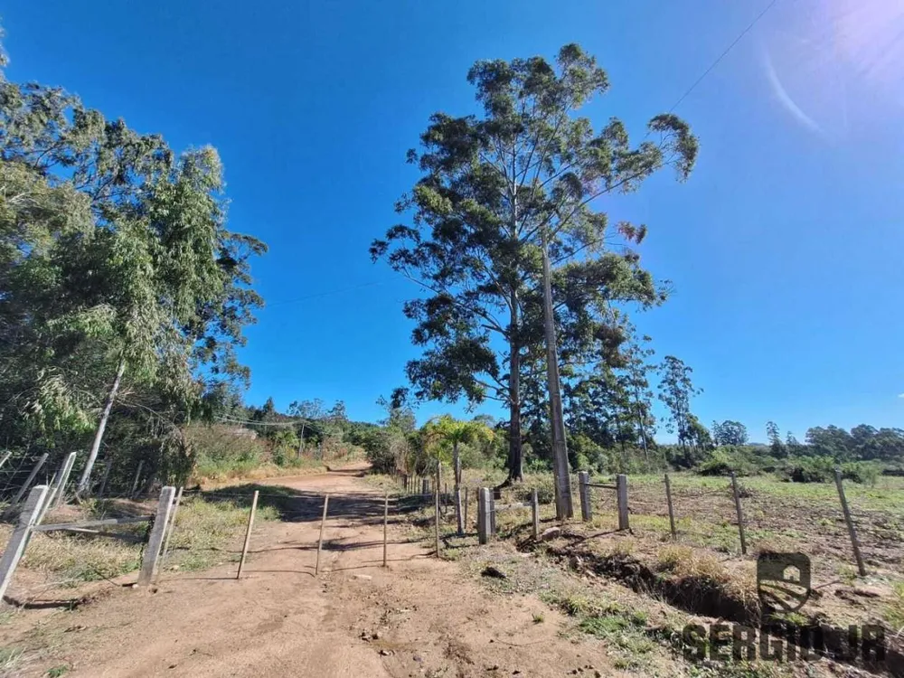 Fazenda, 63 hectares - Foto 11