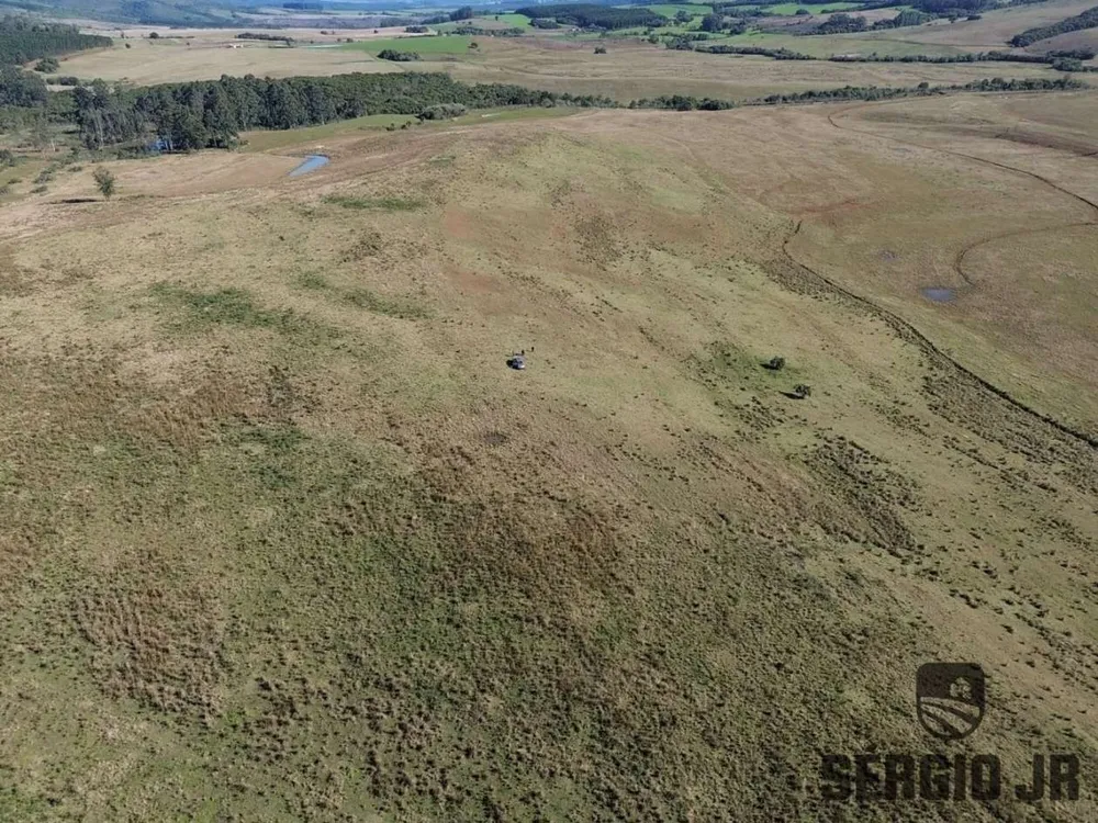 Fazenda, 63 hectares - Foto 13