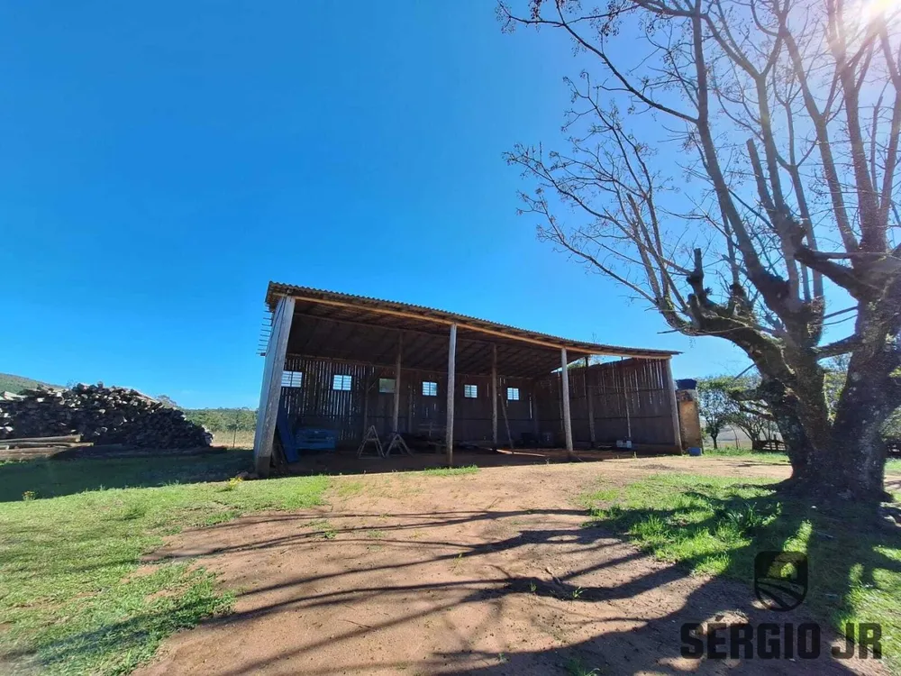 Fazenda, 63 hectares - Foto 5