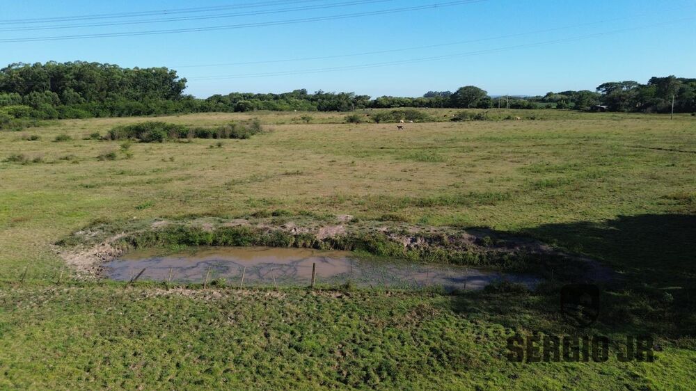 Sítio, 2 quartos, 52 hectares - Foto 9