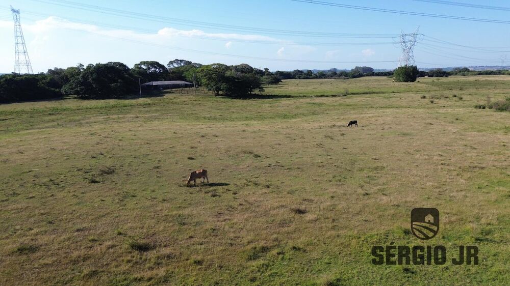 Sítio, 2 quartos, 52 hectares - Foto 3
