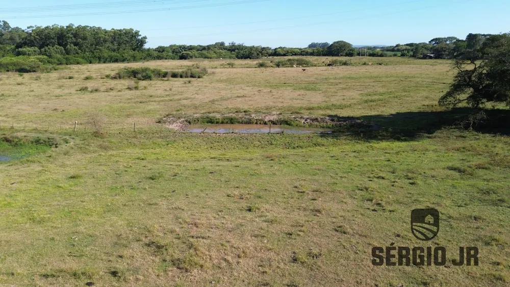 Sítio, 2 quartos, 52 hectares - Foto 16