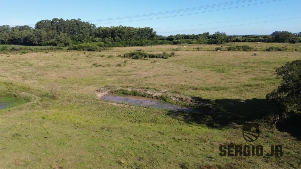 Sítio, 2 quartos, 52 hectares - Foto 7