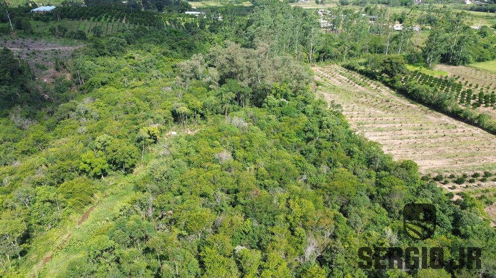 Sítio, 1 quarto, 7 hectares - Foto 6