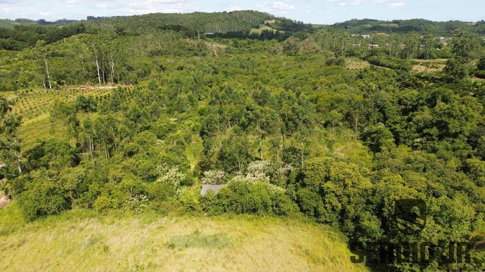 Sítio, 1 quarto, 7 hectares - Foto 3