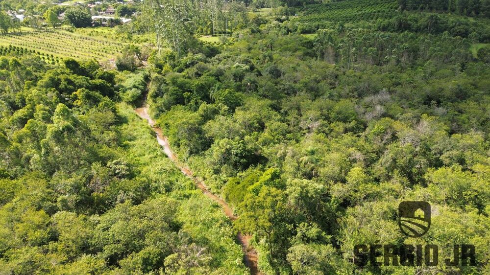 Sítio, 1 quarto, 7 hectares - Foto 7