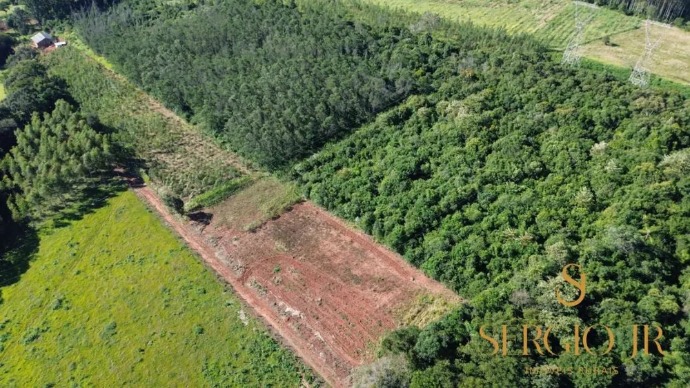 Chácara, 3 quartos, 2 hectares - Foto 4