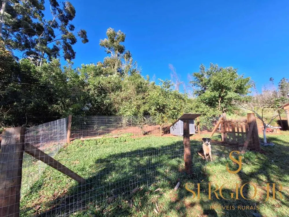 Chácara, 3 quartos, 2 hectares - Foto 12