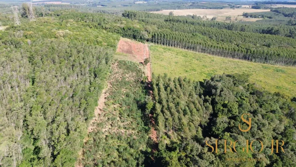 Chácara, 3 quartos, 2 hectares - Foto 3
