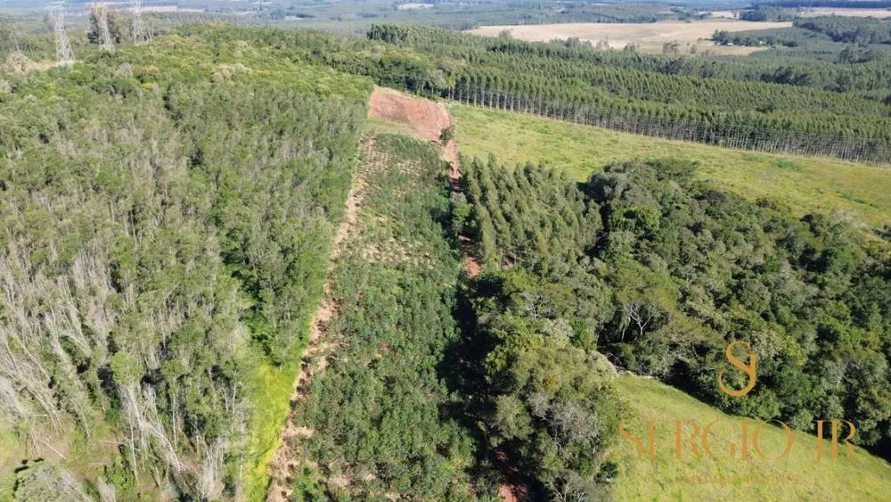 Chácara, 3 quartos, 2 hectares - Foto 2