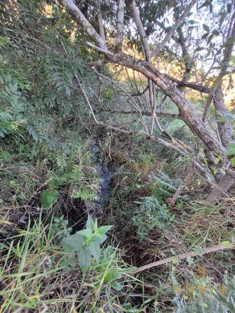 Loteamento e Condomínio, 2 hectares - Foto 15