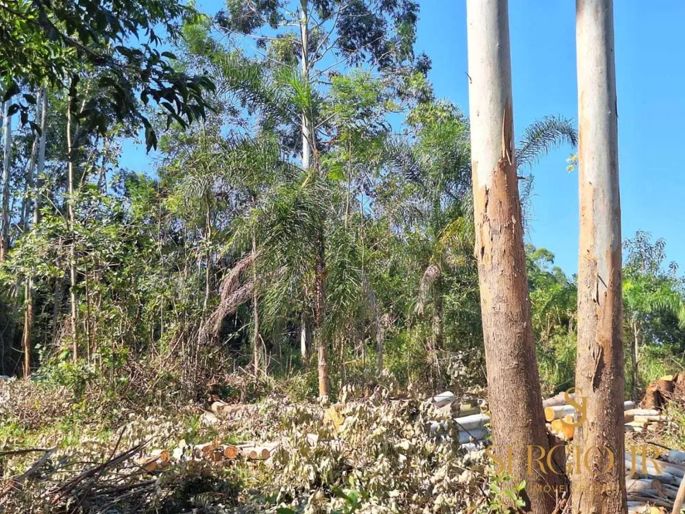 Loteamento e Condomínio, 2 hectares - Foto 2