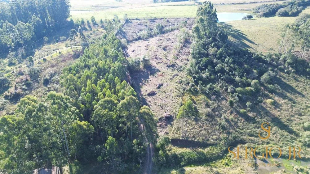Loteamento e Condomínio, 2 hectares - Foto 7