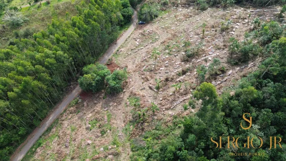Loteamento e Condomínio, 2 hectares - Foto 3