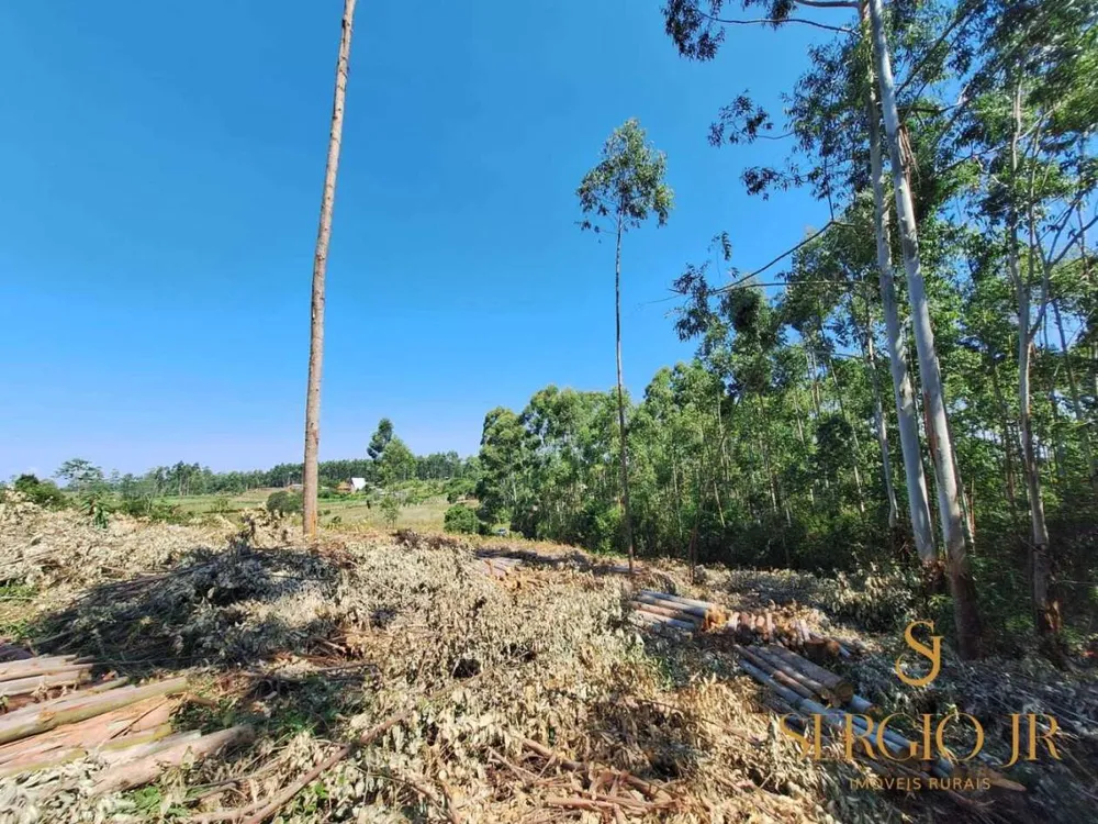 Loteamento e Condomínio, 2 hectares - Foto 4