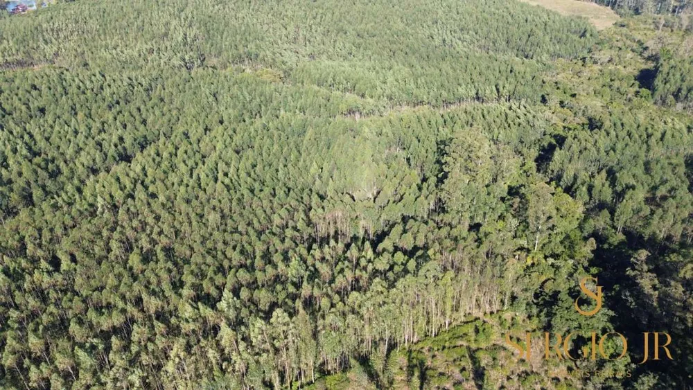 Loteamento e Condomínio, 12 hectares - Foto 6