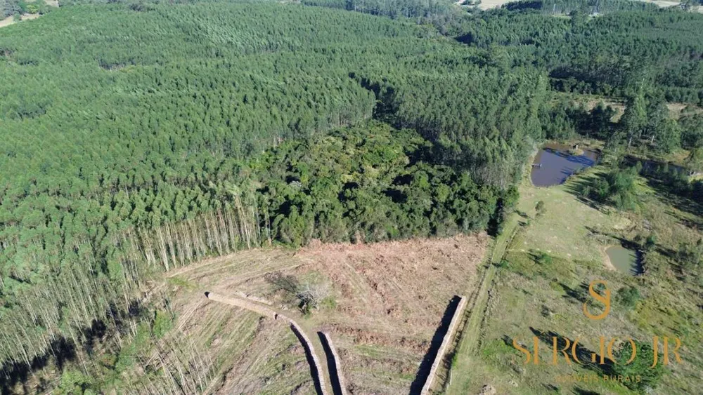 Loteamento e Condomínio, 12 hectares - Foto 3
