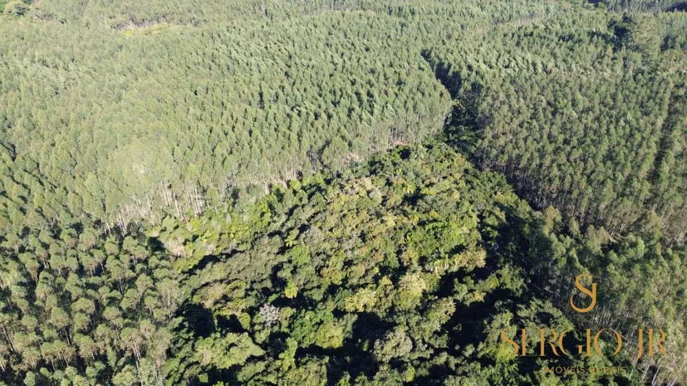 Loteamento e Condomínio, 12 hectares - Foto 4