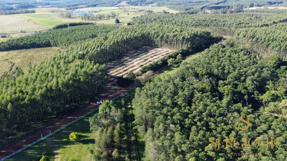 Loteamento e Condomínio, 12 hectares - Foto 9