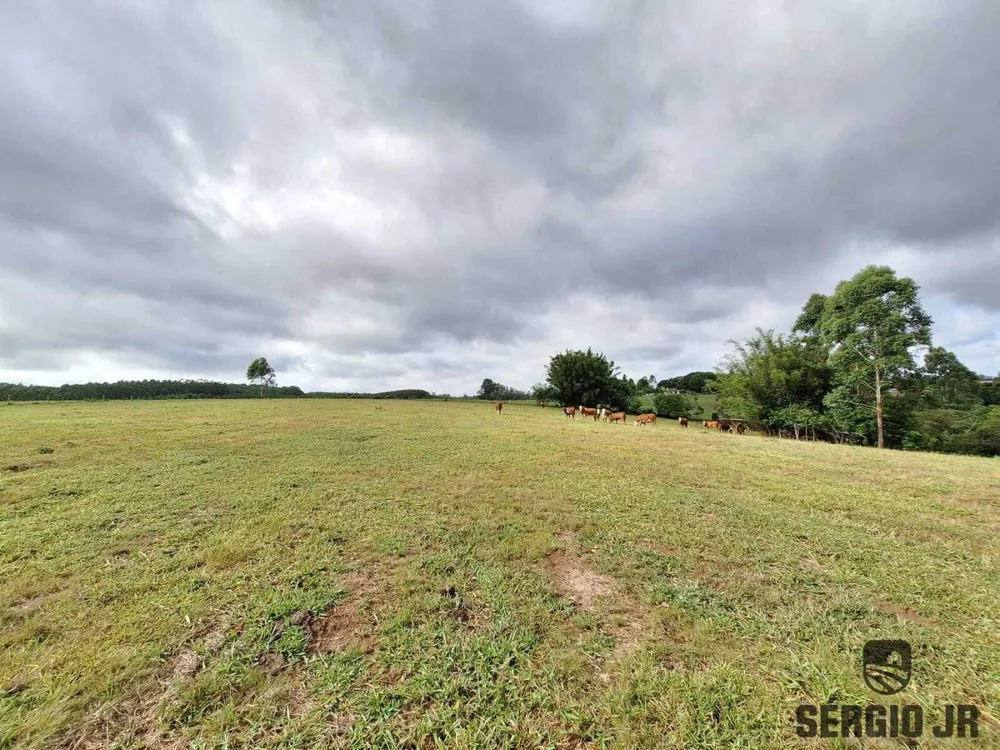 Loteamento e Condomínio, 7 hectares - Foto 2
