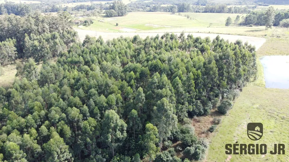 Loteamento e Condomínio à venda, 20000m² - Foto 3