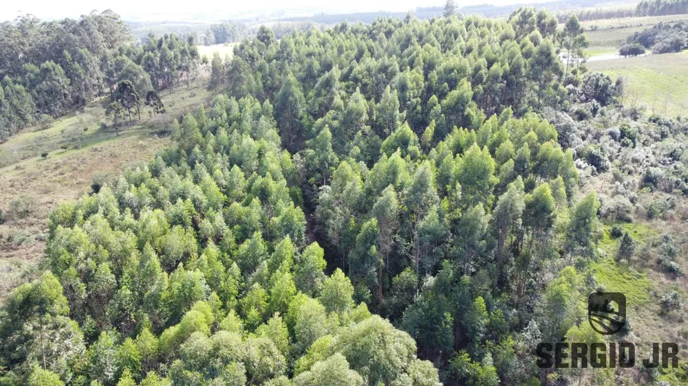 Loteamento e Condomínio à venda, 20000m² - Foto 1