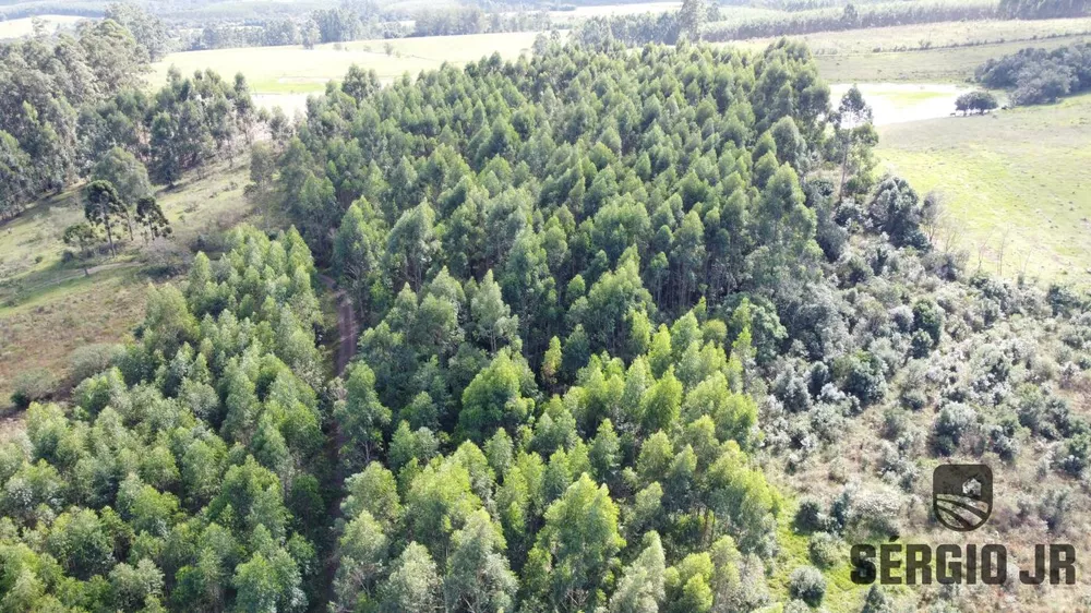 Loteamento e Condomínio à venda, 20000m² - Foto 2