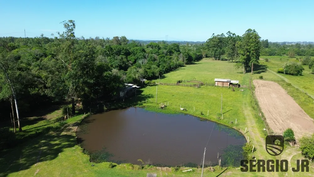 Chácara, 3 quartos, 6 hectares - Foto 6