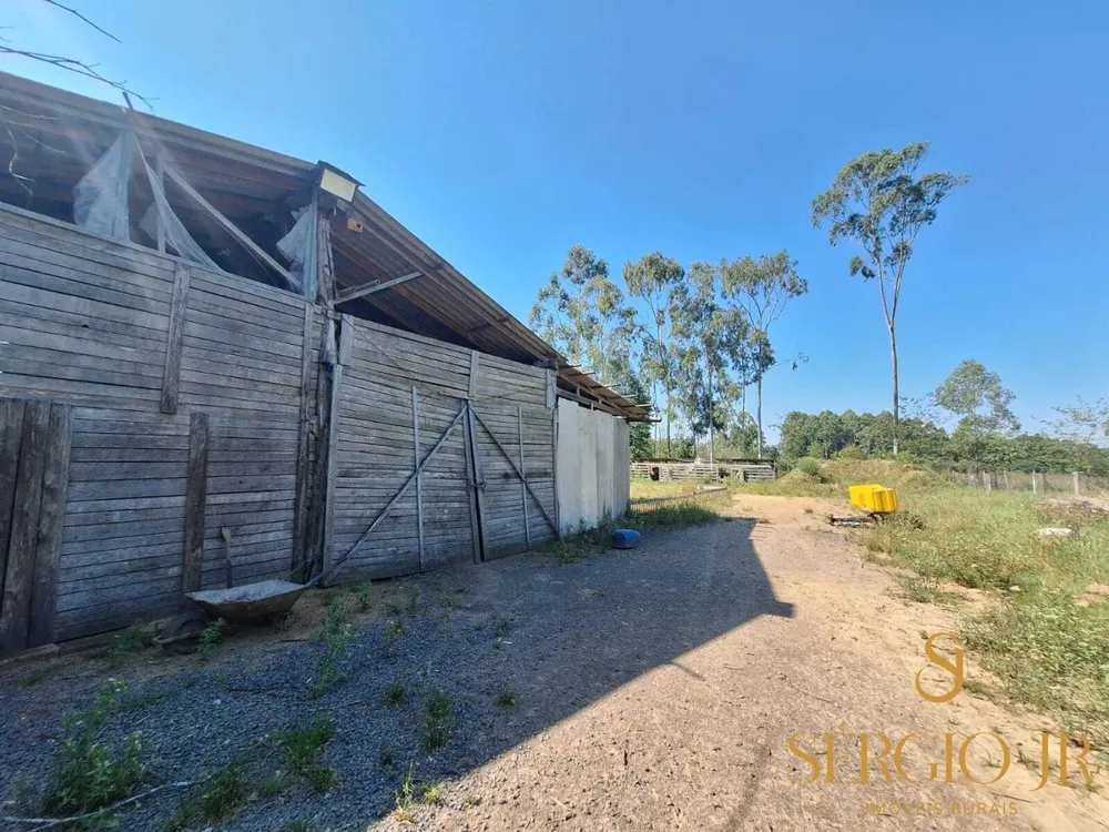Chácara, 3 quartos, 10000 m² - Foto 12