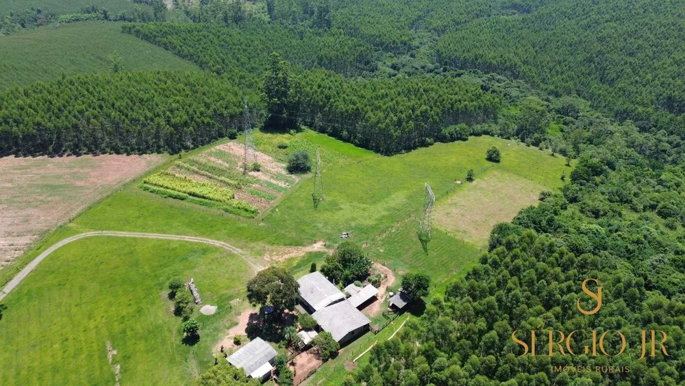 Chácara, 4 quartos, 5 hectares - Foto 4